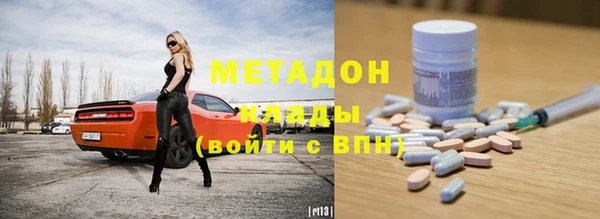 стаф Осинники